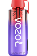 VOZOL NEON- 10000 84B8231 VOZOL srbija плави разз лед