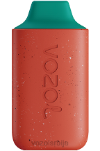VOZOL STAR- 6000 84B8111 VOZOL srbija змајево воће лубеница